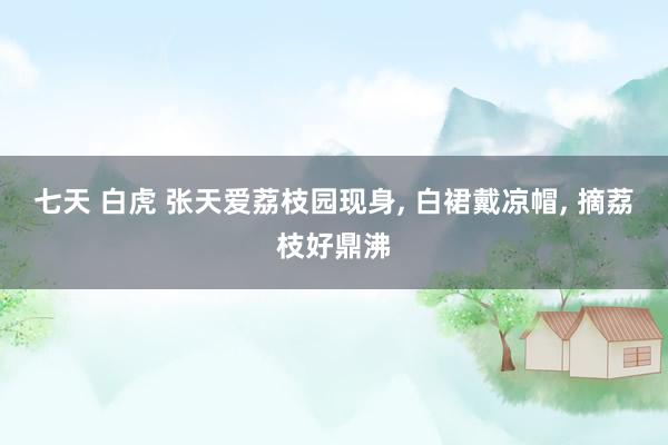 七天 白虎 张天爱荔枝园现身， 白裙戴凉帽， 摘荔枝好鼎沸