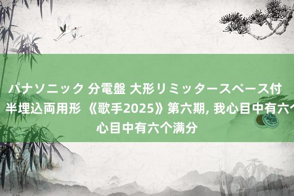 パナソニック 分電盤 大形リミッタースペース付 露出・半埋込両用形 《歌手2025》第六期， 我心目中有六个满分